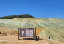 단독주택 짓기 전 땅속 매장유산 발굴조사비 국가가 지원