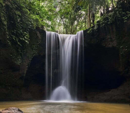 여름철 피로 해소 방법 a waterfall in a forest
