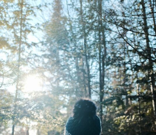 스트레스를 줄이는 건강한 겨울 생활 방식 person in black jacket standing in front of trees during daytime