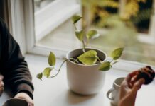 최근 부상한 ‘마음 챙김 식사’… 건강하게 먹는 새로운 습관 person holding brown and black round food on white ceramic plate