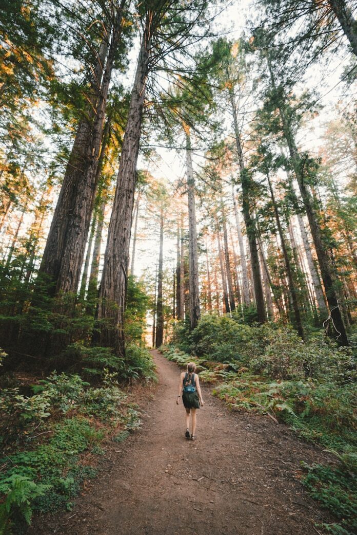 Photo by Kevin Wolf woman walking near plants and tall trees during daytime